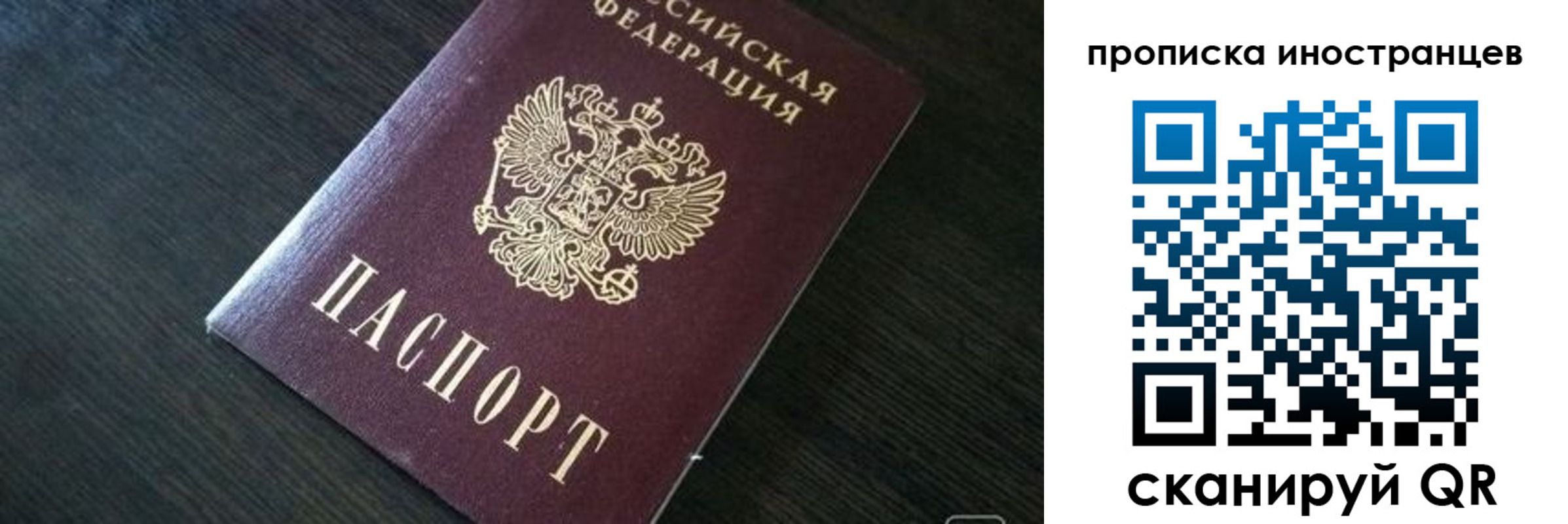 прописка 2025 в Борзе